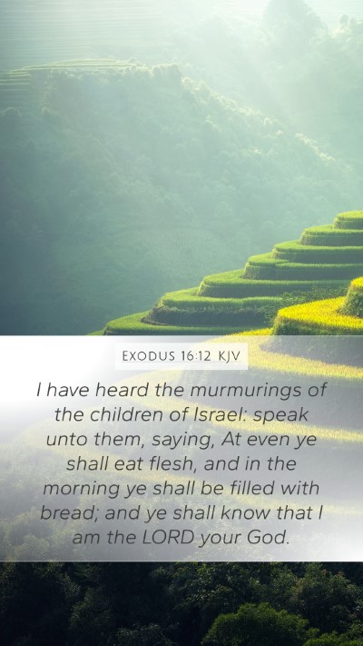 Exodus 16:12 Explained