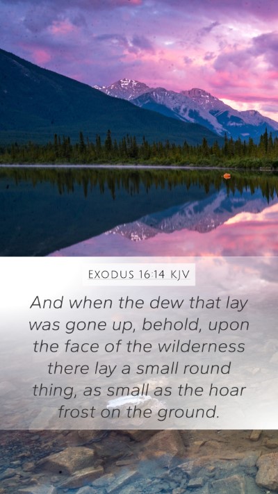 Exodus 16:14 Explained