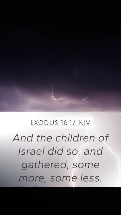 Exodus 16:17 Explained