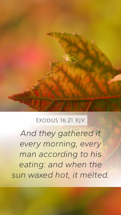 Exodus 16:21 Explained