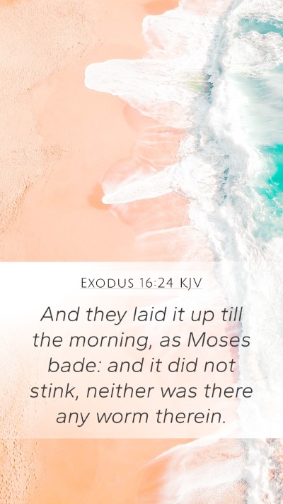 Exodus 16:24 Explained