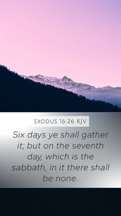 Exodus 16:26 Explained