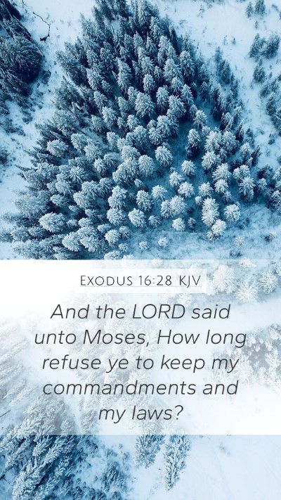 Exodus 16:28 Explained