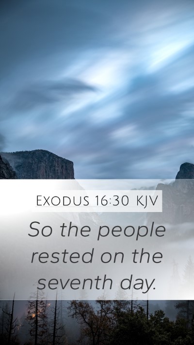 Exodus 16:30 Explained