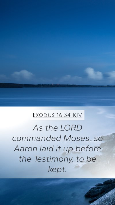 Exodus 16:34 Explained