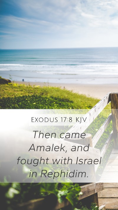 Exodus 17:8 Explained