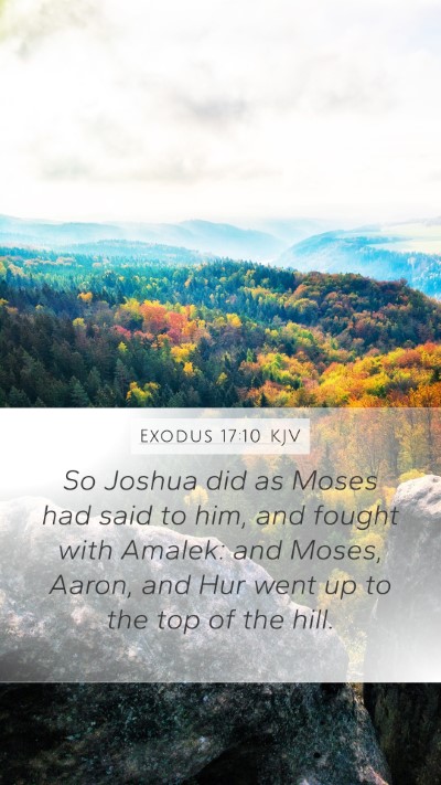 Exodus 17:10 Explained