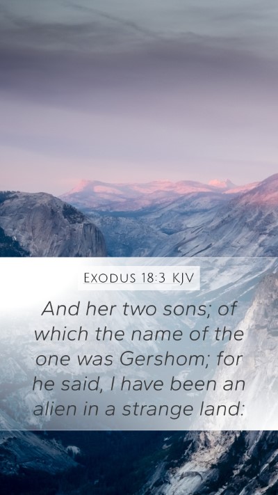 Exodus 18:3 Explained