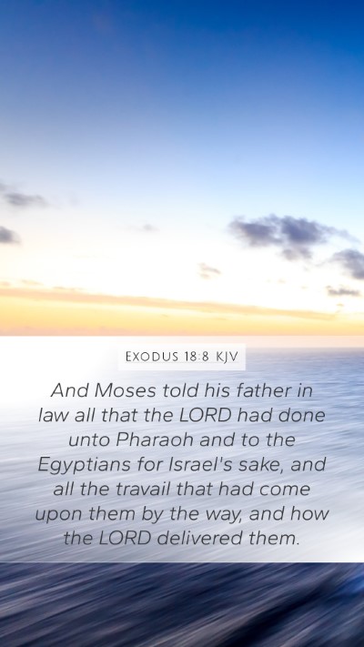 Exodus 18:8 Explained