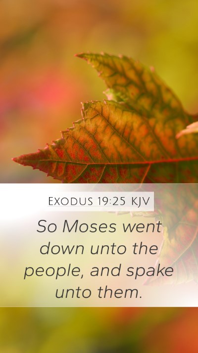 Exodus 19:25 Explained