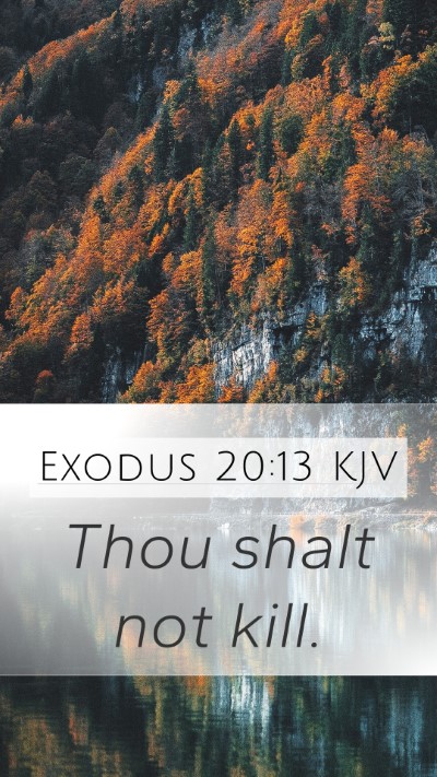 Exodus 20:13 Explained