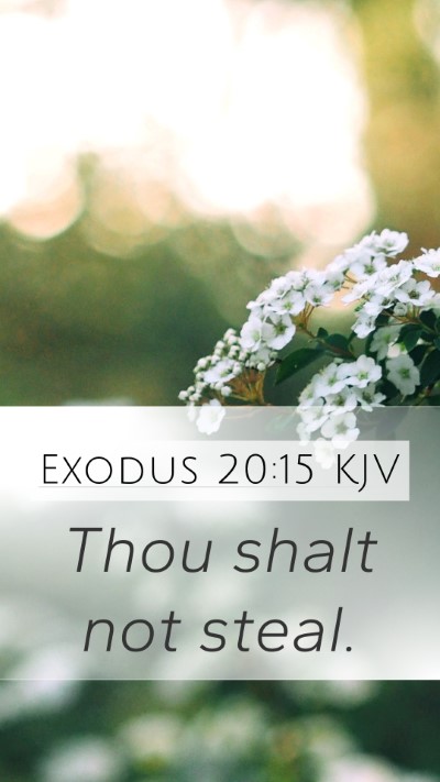 Exodus 20:15 Explained