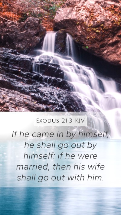 Exodus 21:3 Explained