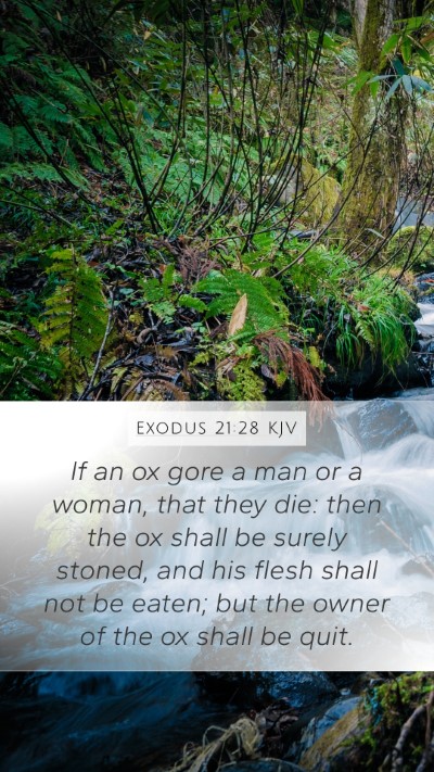 Exodus 21:28 Explained