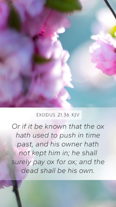 Exodus 21:36 Explained