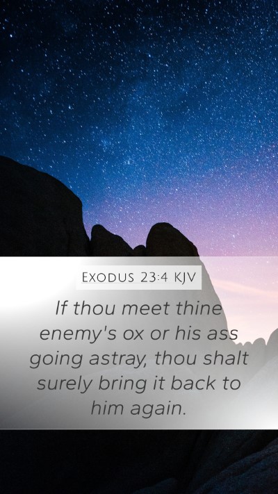 Exodus 23:4 Explained