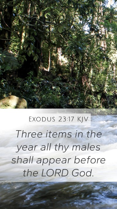 Exodus 23:17 Explained