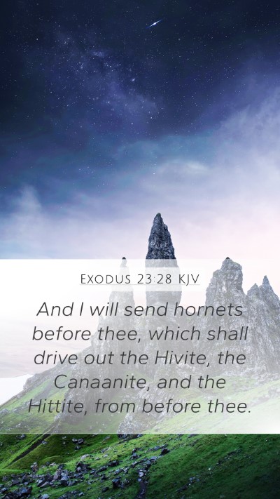 Exodus 23:28 Explained