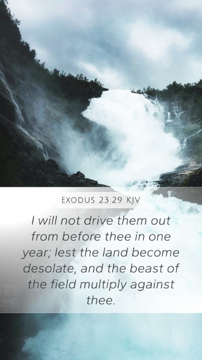 Exodus 23:29 Explained