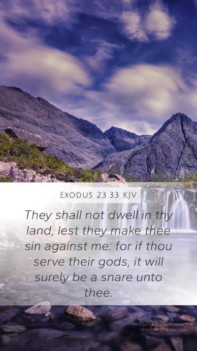 Exodus 23:33 Explained