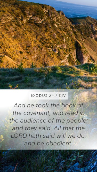 Exodus 24:7 Explained