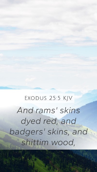 Exodus 25:5 Explained