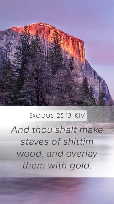 Exodus 25:13 Explained