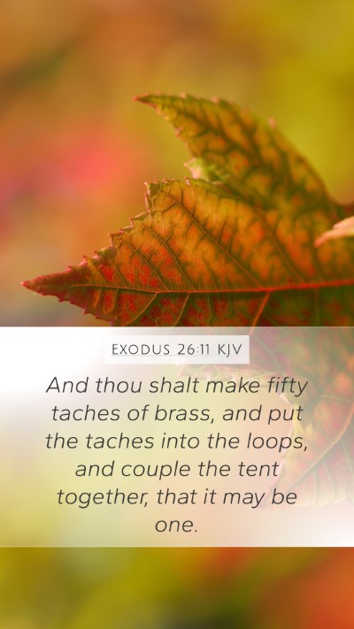 Exodus 26:11 Explained