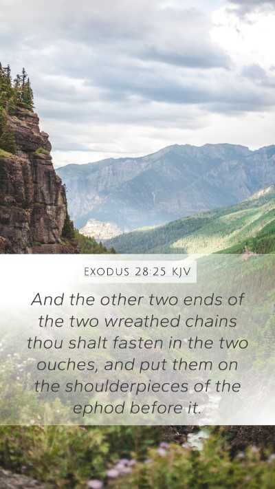 Exodus 28:25 Explained