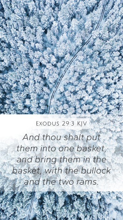 Exodus 29:3 Explained