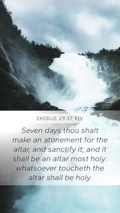 Exodus 29:37 Explained