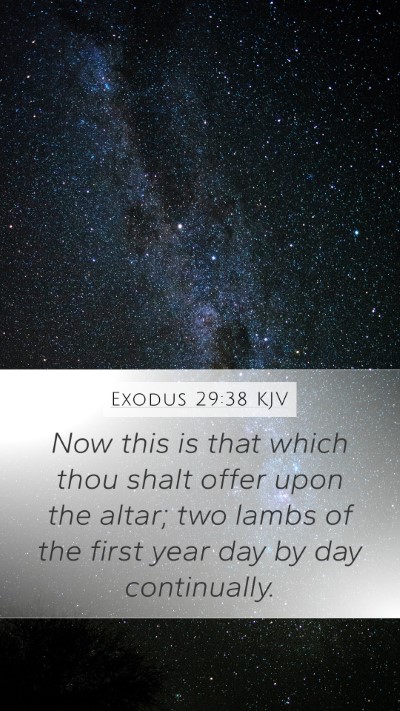 Exodus 29:38 Explained