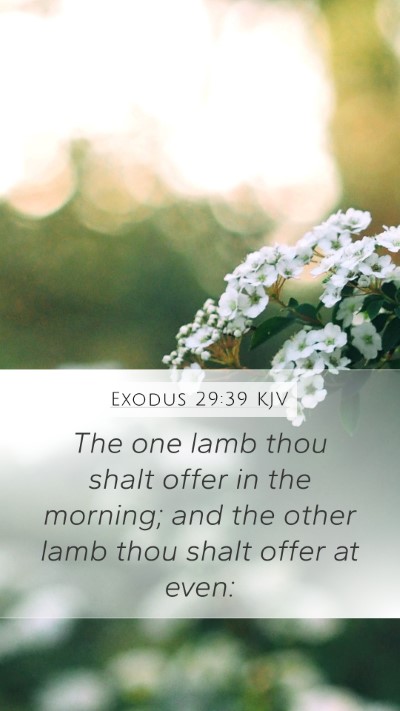 Exodus 29:39 Explained