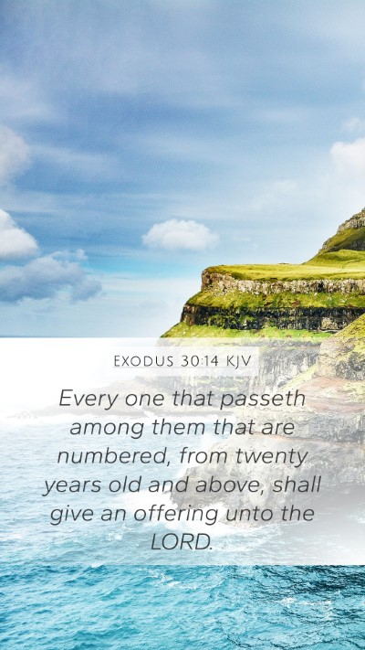 Exodus 30:14 Explained