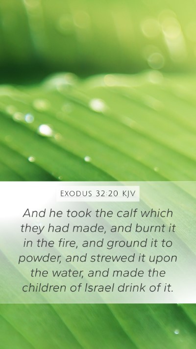 Exodus 32:20 Explained