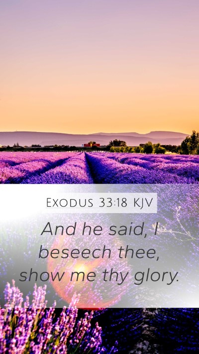 Exodus 33:18 Explained