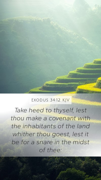 Exodus 34:12 Explained