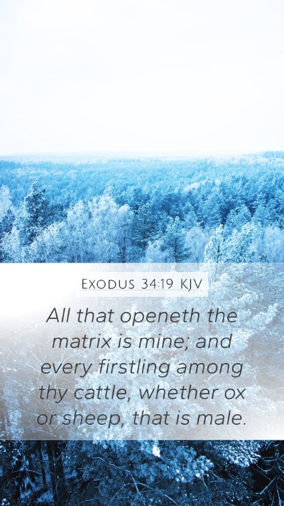 Exodus 34:19 Explained