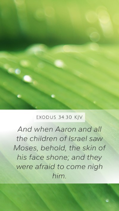 Exodus 34:30 Explained