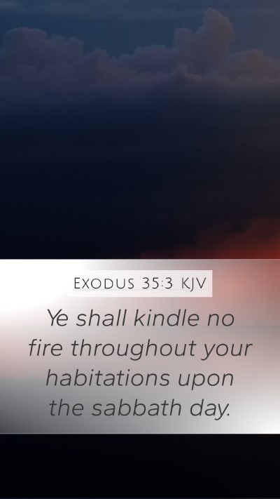 Exodus 35:3 Explained