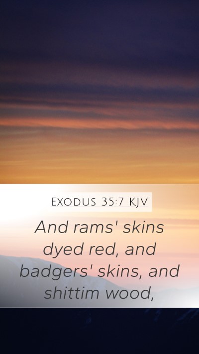 Exodus 35:7 Explained