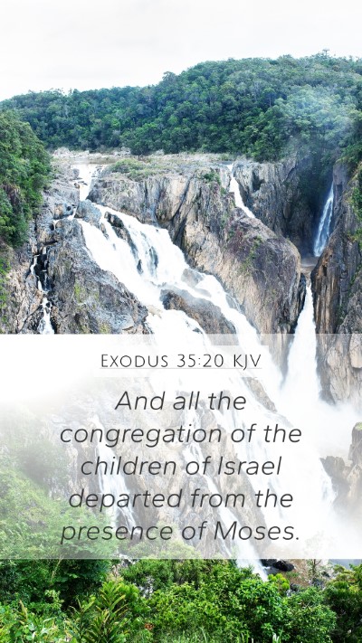 Exodus 35:20 Explained