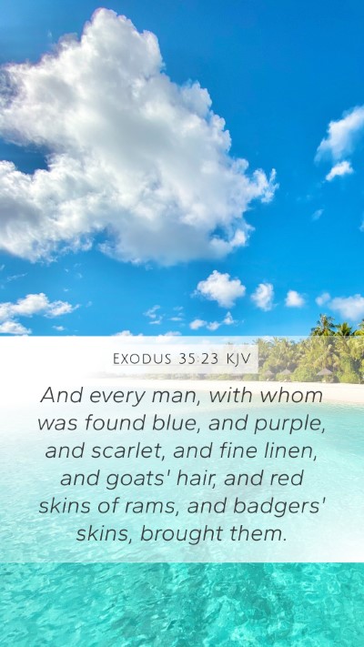 Exodus 35:23 Explained