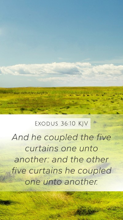 Exodus 36:10 Explained