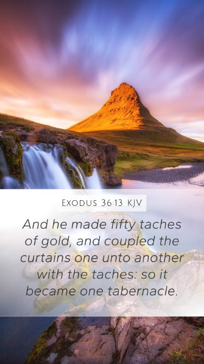 Exodus 36:13 Explained