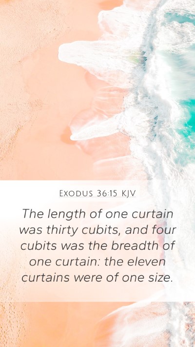 Exodus 36:15 Explained