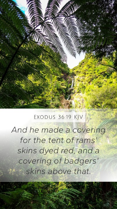 Exodus 36:19 Explained