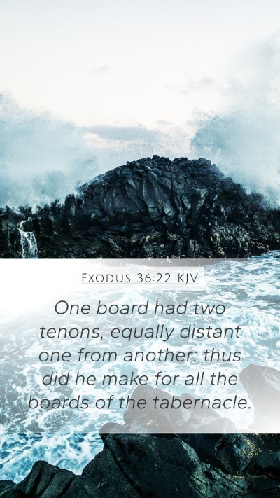 Exodus 36:22 Explained