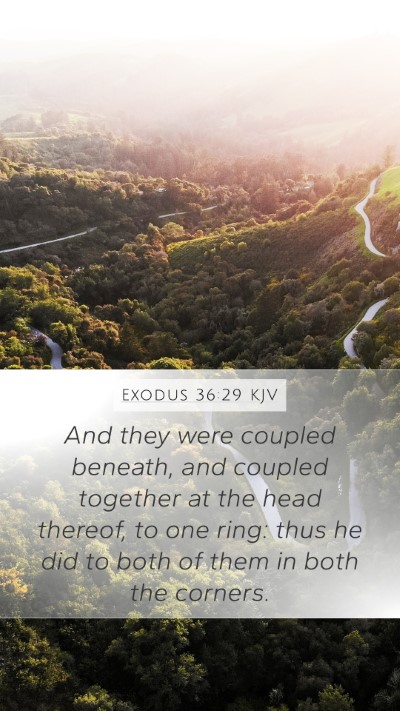 Exodus 36:29 Explained