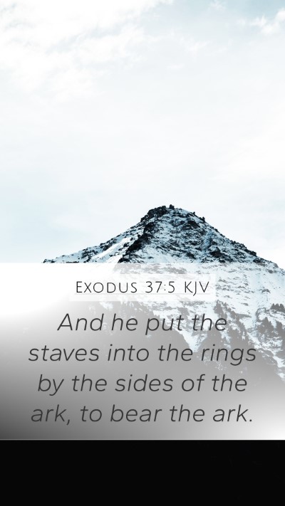 Exodus 37:5 Explained